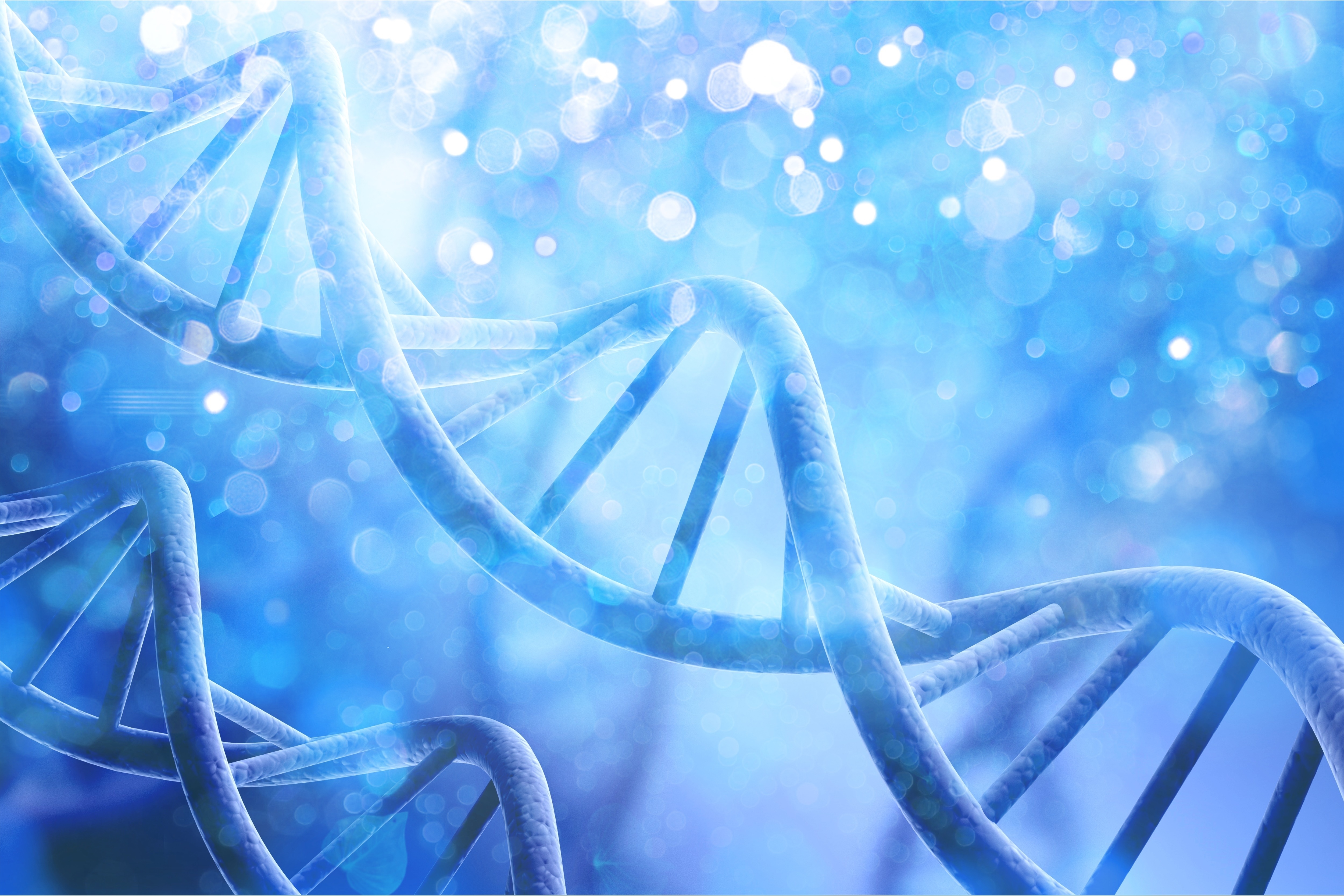 体外受精と染色体 体外受精と染色体