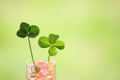 精子の質を良くするには… 精子の質を良くするには…