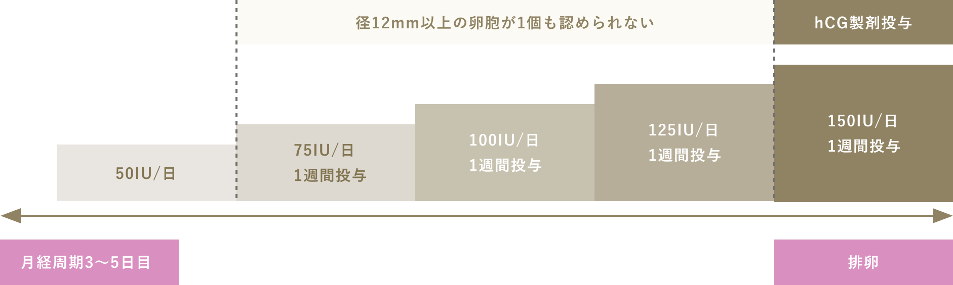 子宮筋腫の診断